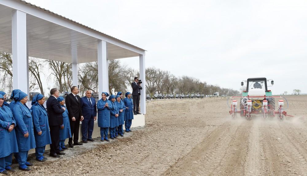Prezident pambıq səpinini izlədi