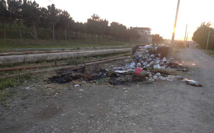 Hökməli bələdiyyəsinin işçisi cəzalandırıldı