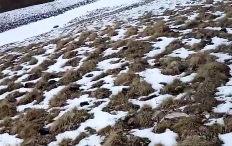 İtkin hərbçilərin axtarışı zamanı yüzlərlə mina belə aşkar edildi - VİDEO