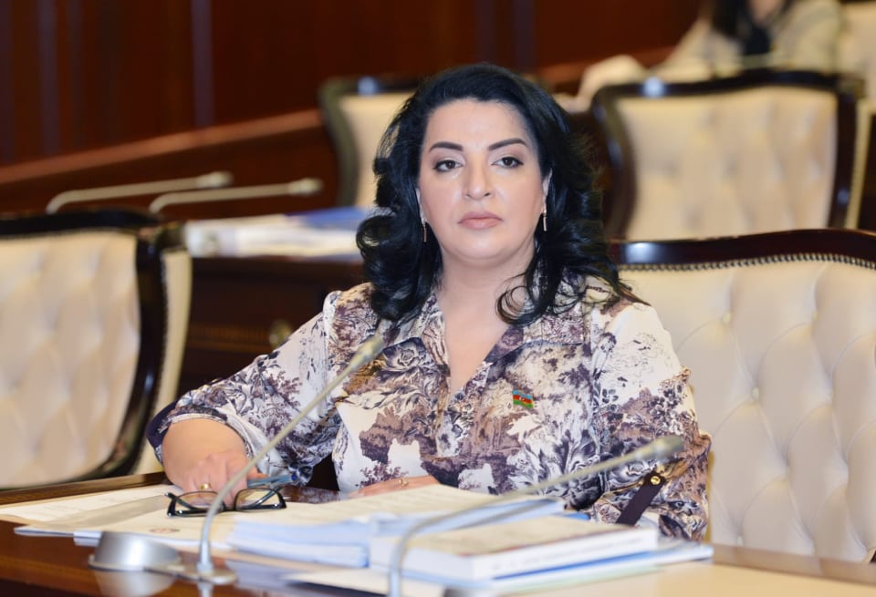“Azərbaycanın dəmir yumruğu yerindədir” – Fatma Yıldırım