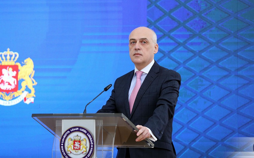 Gürcüstanın XİN başçısı Ukraynaya gedir