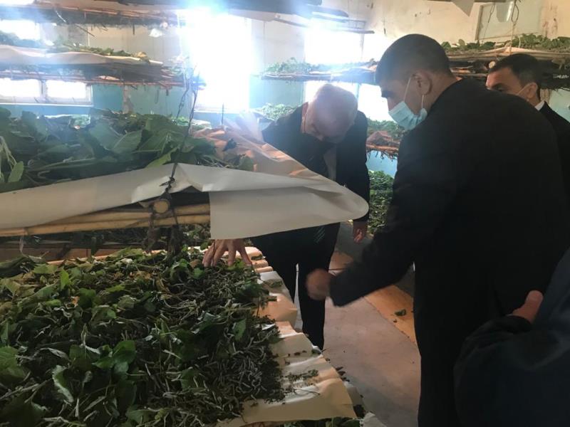 Füzulidə baramaçılığın inkişafı nəzarətdə saxlanılır