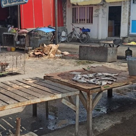 Yevlax bazarında nehrə yağı adı ilə bitki yağları satılır - FOTO