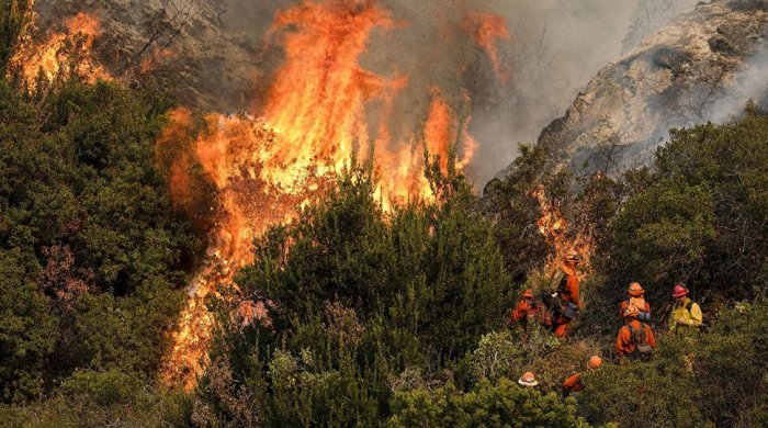 Azərbaycandakı meşə yanğınlarının səbəbləri açıqlandı