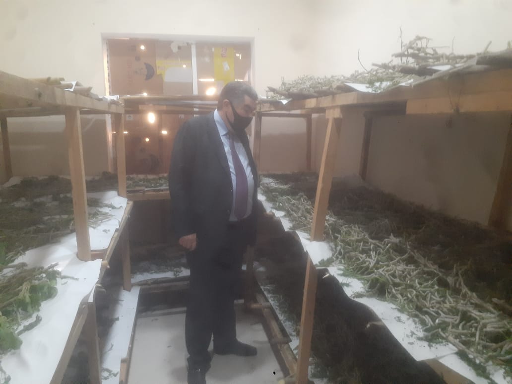 Hacıqabulda baramaçılığın inkişafı istiqamətində mühüm işlər görülür