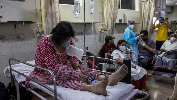 Hindistanda “Qara kif” epidemiyası elan edildi