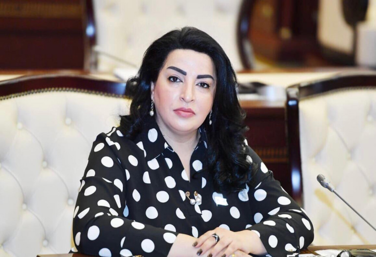 “Ermənistanın heç bir gələcəyi yoxdur” - Deputat