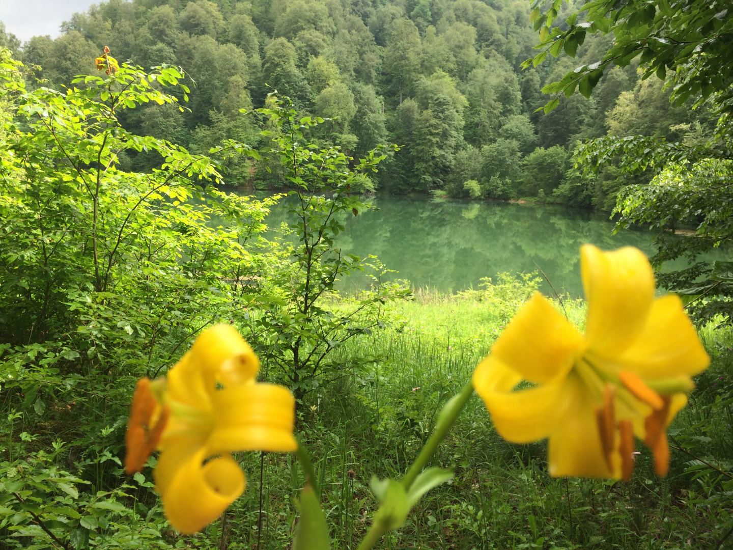 Nazirlikdən turistlərə çağırış