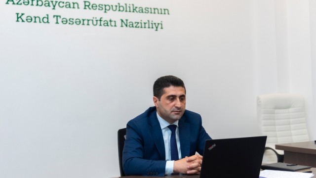 Aqrar Universitetində onlayn məzun yarmarkası keçirildi