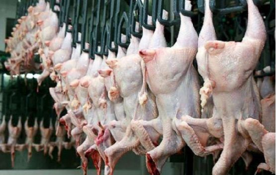 Almaniyadan Azərbaycana quş əti gətirilməsi qadağan olundu