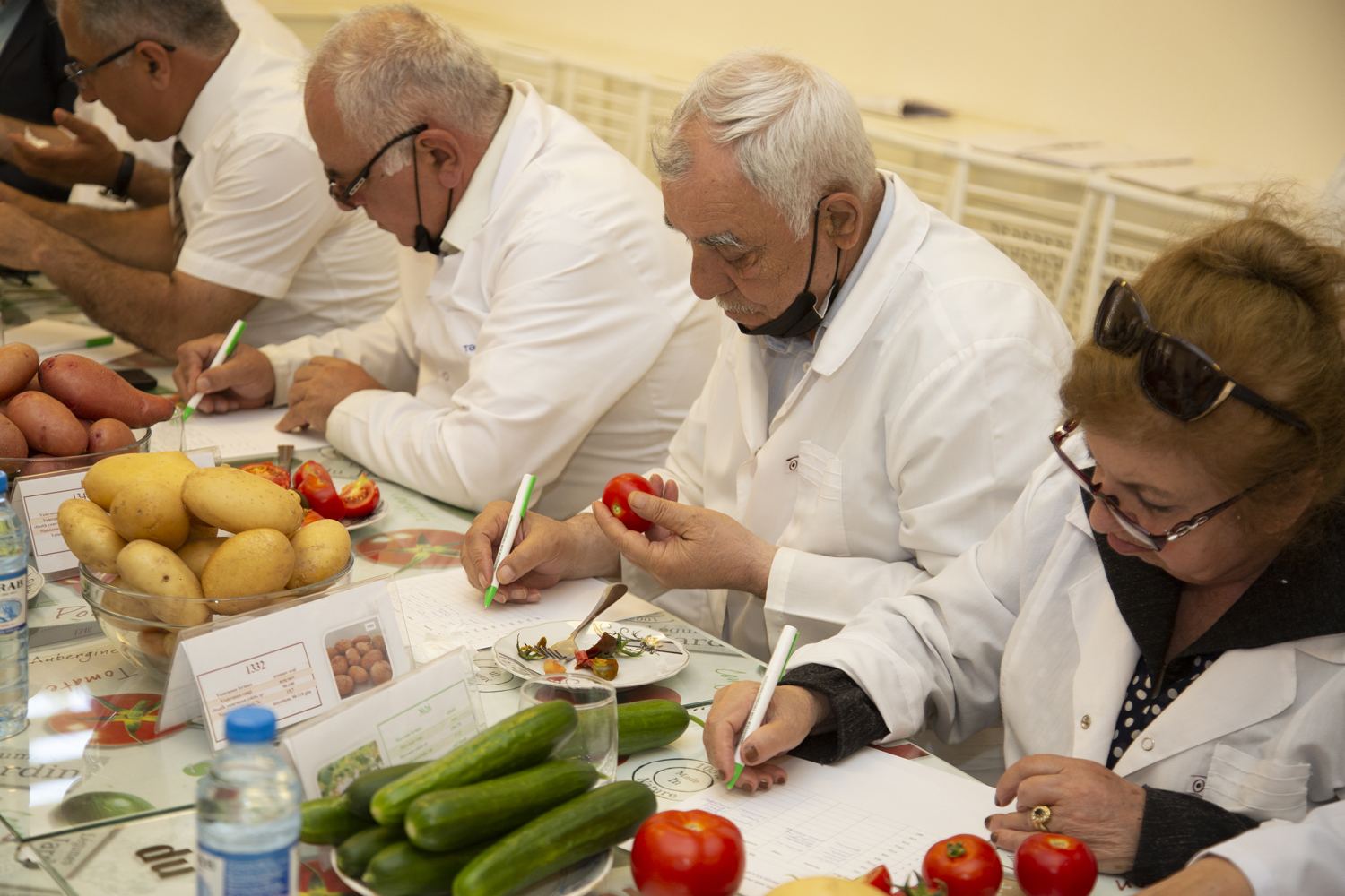 Azərbaycanda yeni kartof və tərəvəz sortları yetişdirilib  - FOTO