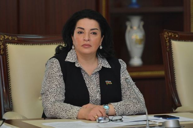 Deputat: “Bizə yaxşı mütəxəssislər lazımdır”