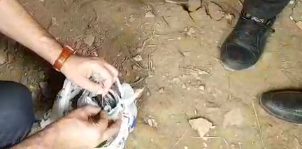 Polis Lənkəranda əməliyyat keçirdi - keçmiş məhkum saxlanıldı