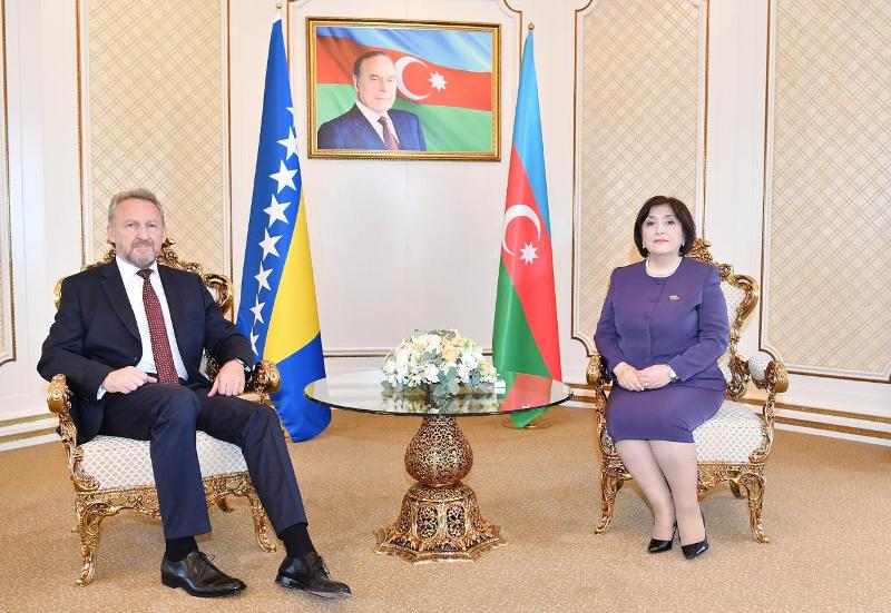Sahibə Qafarova Bosniya və Herseqovina Xalqlar Palatasının sədri ilə  görüşüb