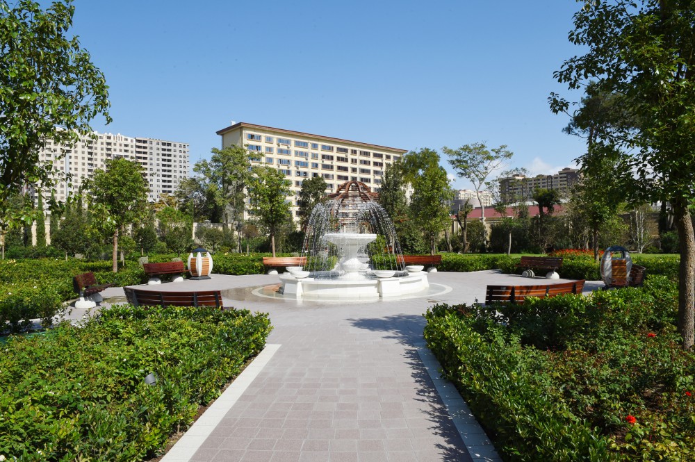 Bakıda parkda dekorativ daş uşağın üzərinə aşdı