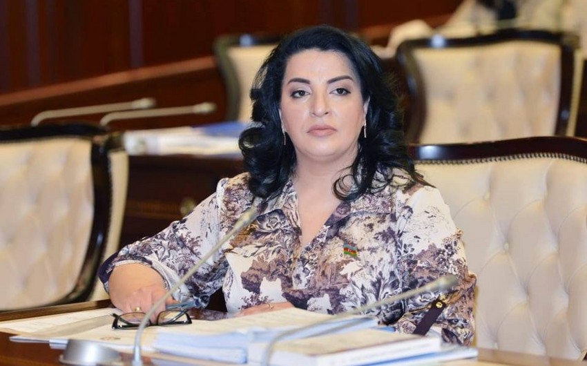 “Ərdoğanın bu səfəri tarixi hadisə olacaq” - Deputat