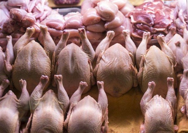 Bu ölkələrdən Azərbaycana quş ətinin gətirilməsinə məhdudiyyət QOYULDU