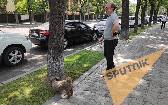 Ara Ayvazyan seçki günü itini gəzməyə çıxardı