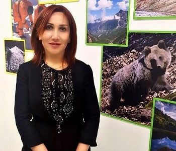 Mətbuat katibindən müraciət: “Bir nəfər meşələrin məhvinə səbəb olur” 
