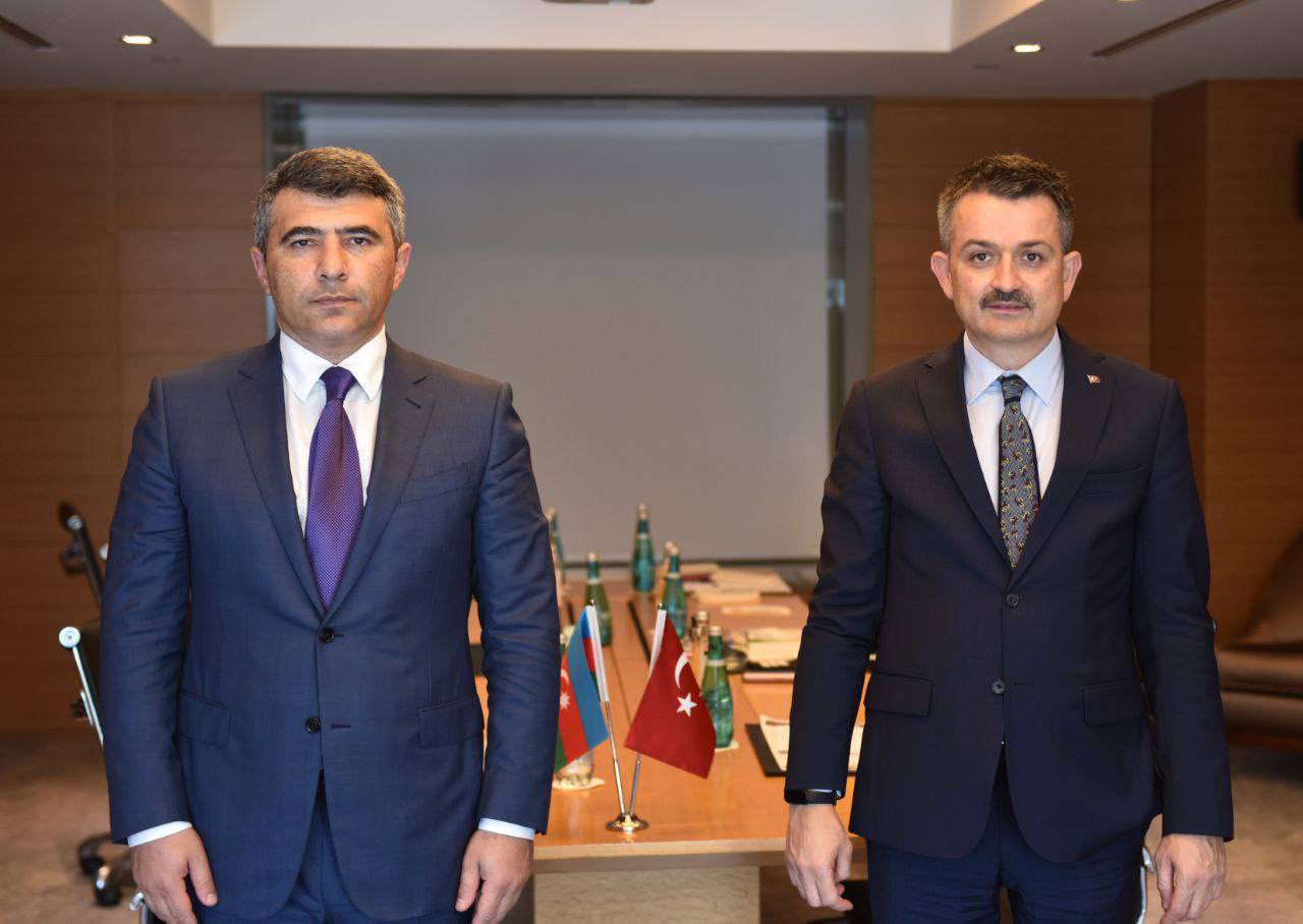 Azərbaycan Şimali Makedoniya ilə əməkdaşlıq edə bilər