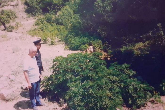 Qubada 4,2 ton çətənə kolu aşkar edilib - FOTO