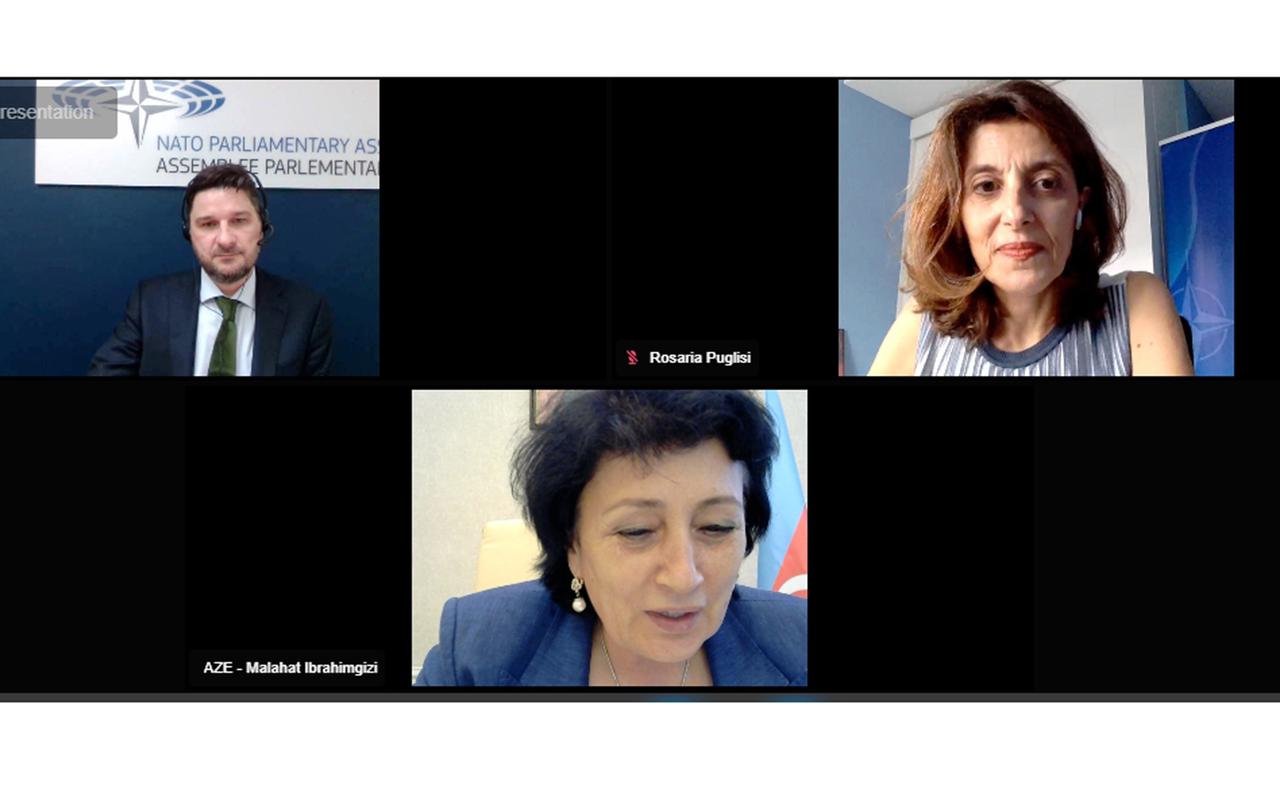 NATO PA-nın Rouz-Rout seminarı keçirilib