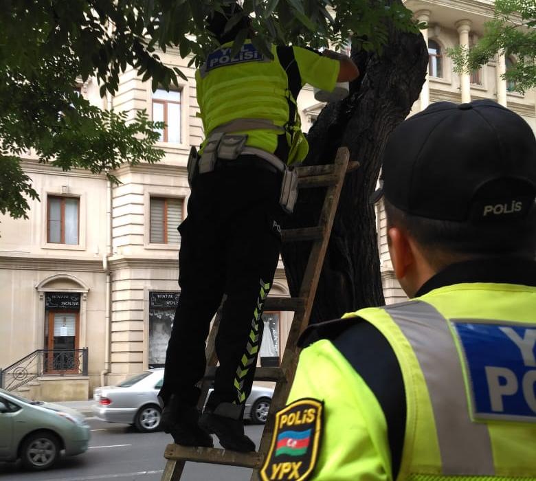Peşə bayramı günü xidmət aparan polislərdən nəcib hərəkət