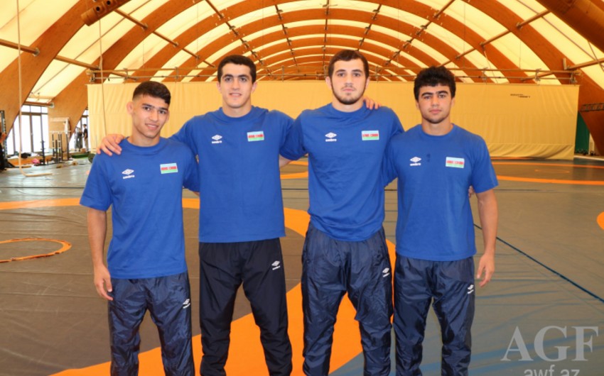 Güləşçilərimiz Avropa çempionatında 3 medal qazandı