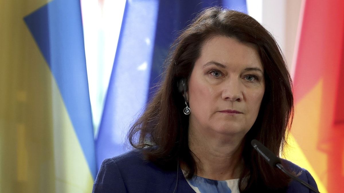 İkinci Qarabağ müharibəsindən sonra bir sıra humanitar məsələlər həll olunmamış qalır - ATƏT