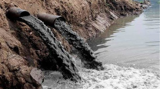 Ümumdünya Vəhşi Təbiət Fondu  Oxçuçay fəlakətini araşdıracaq
