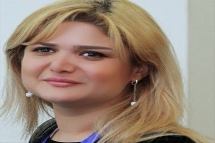 Mediaya dövlət dəstəyini hansı səbəblər zəruri edir?