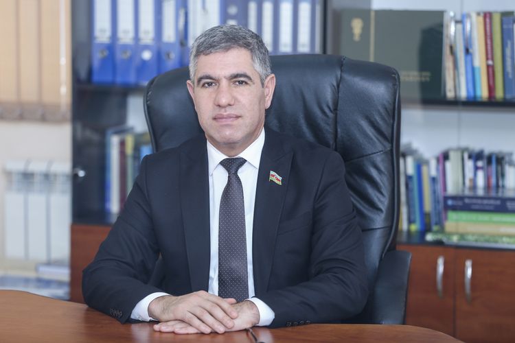 Deputat Qarabağ və Şərqi Zəngəzur iqtisadi rayonlarının potensialından danışdı