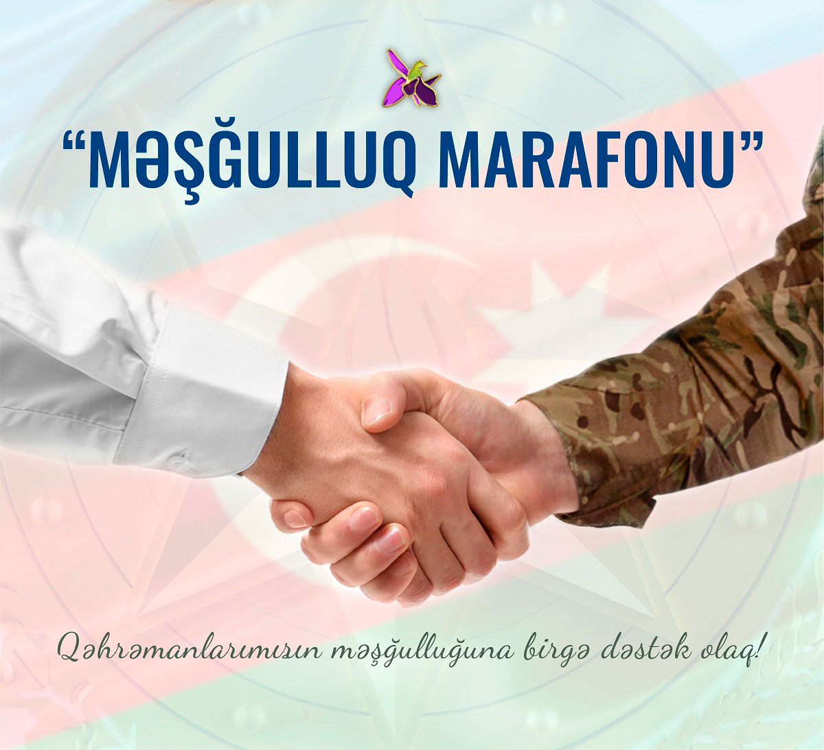 Dövlət Komitəsi “Məşğulluq marafonu”na qoşulub - VİDEO