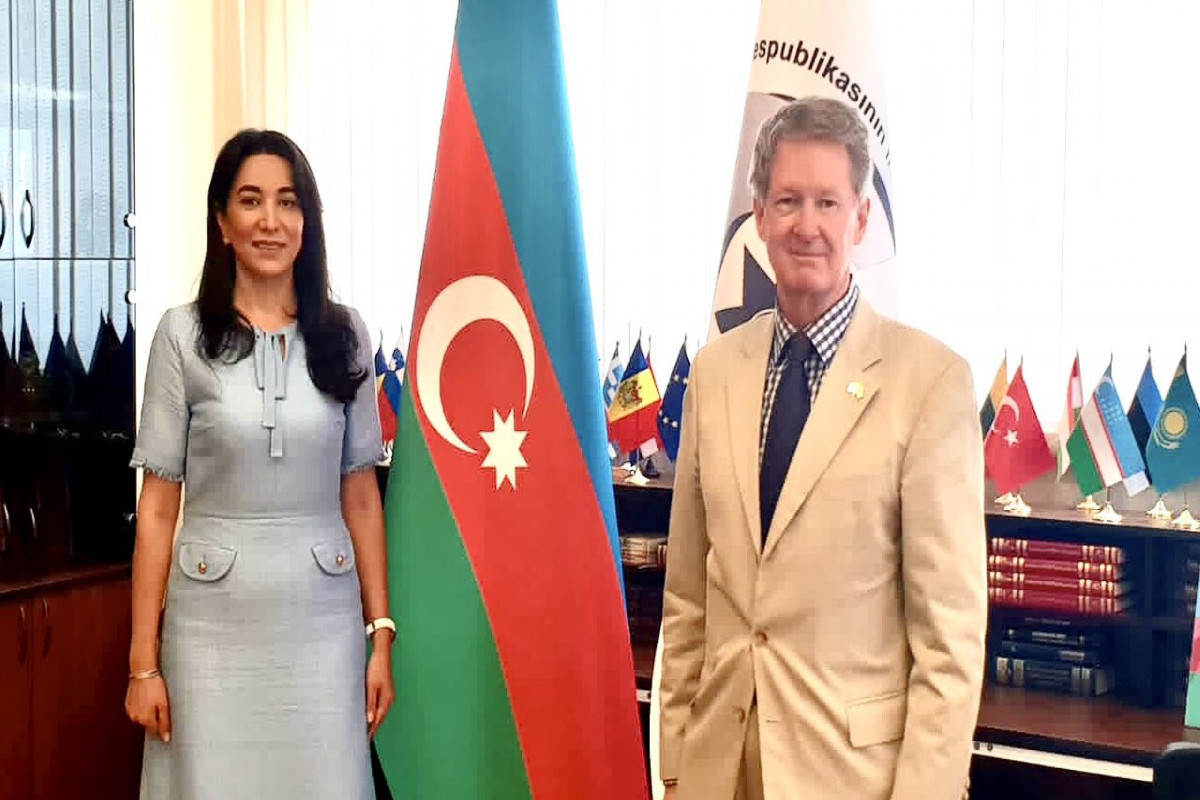 Ombudsman Britaniya səfiri ilə görüşüb