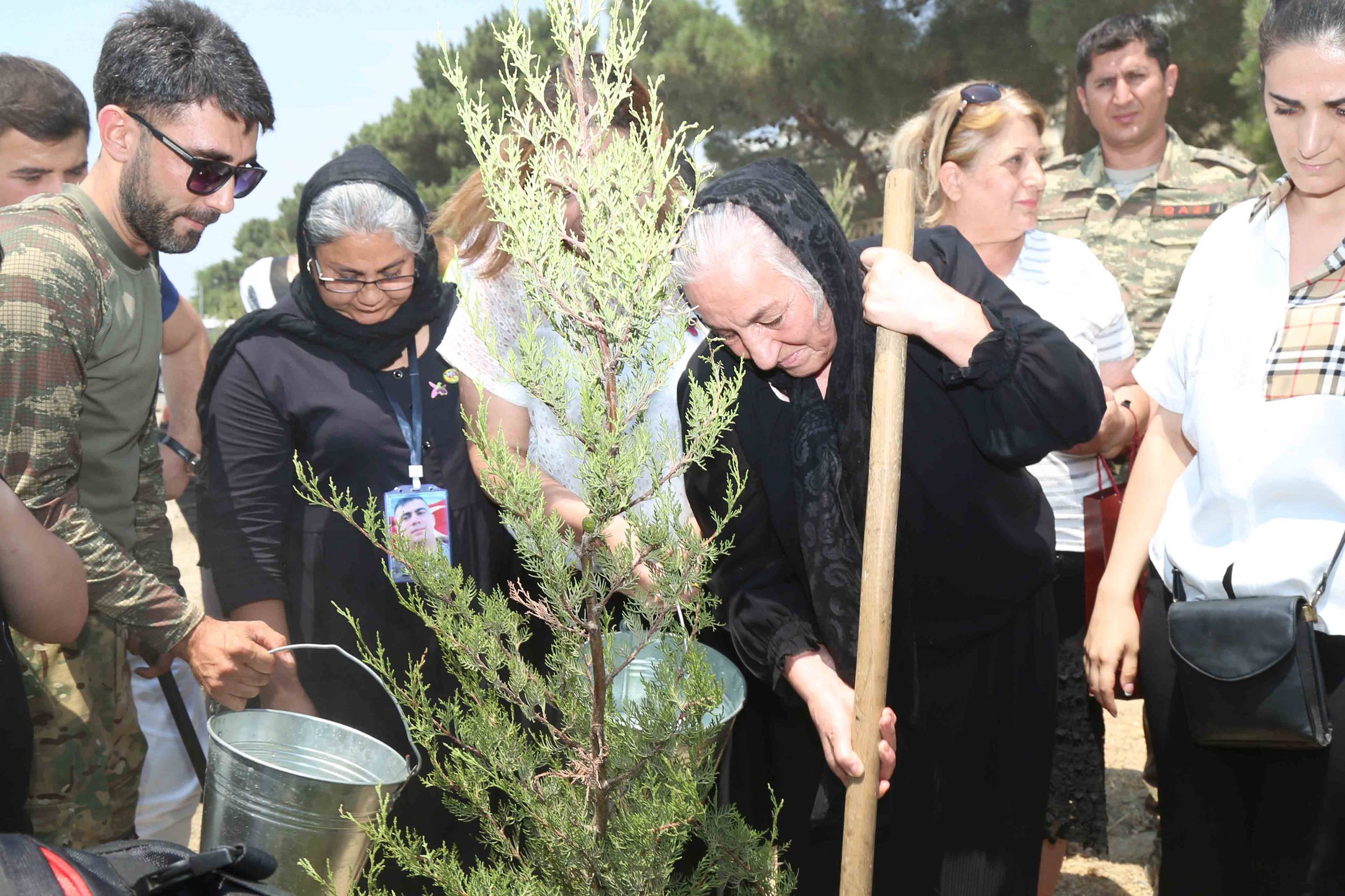 Polad Həşimovun xatirəsinə həsr olunmuş ağacəkmə aksiyası keçirildi