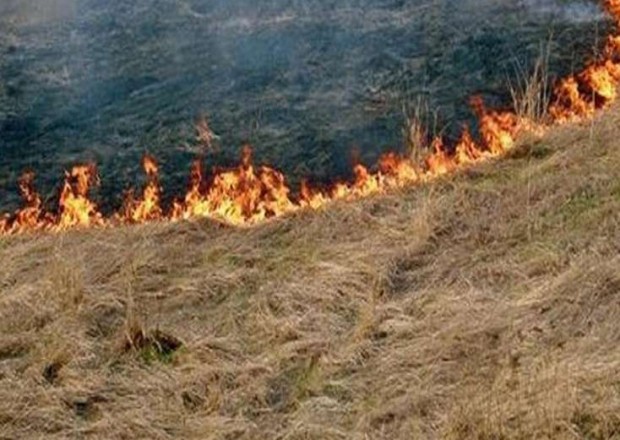 Saatlı sakini həmkəndlisinin otlaq sahəsini YANDIRDI