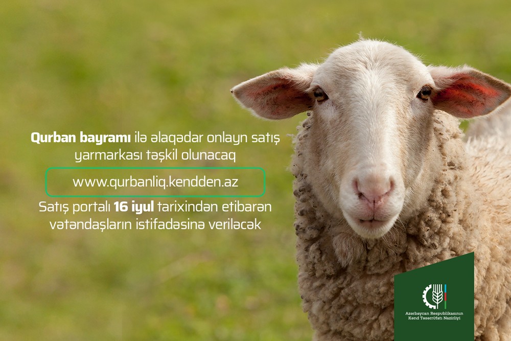 Qurban bayramına görə onlayn satış yarmarkası təşkil olunacaq - Ünvanlar