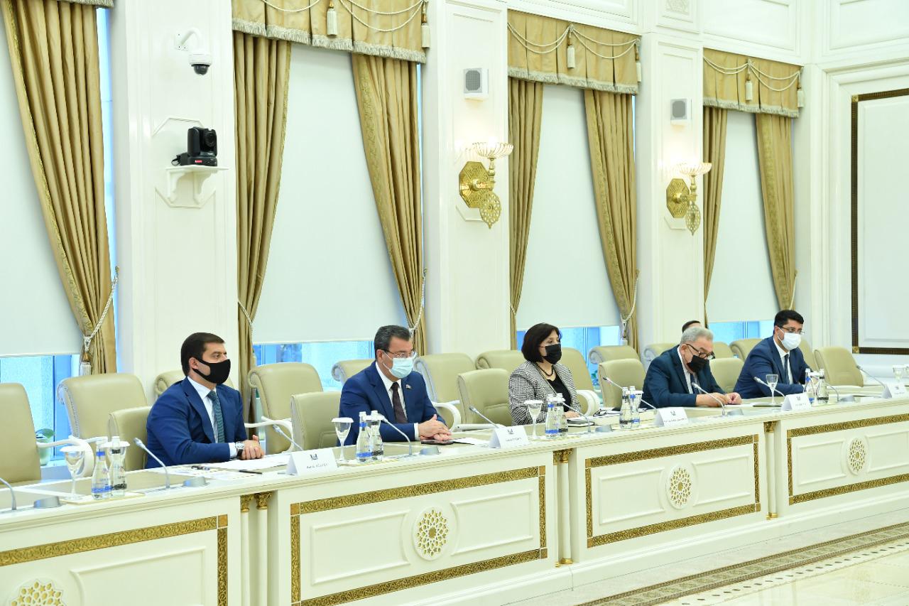 Sahibə Qafarova AŞPA məruzəçisi ilə görüşdü
