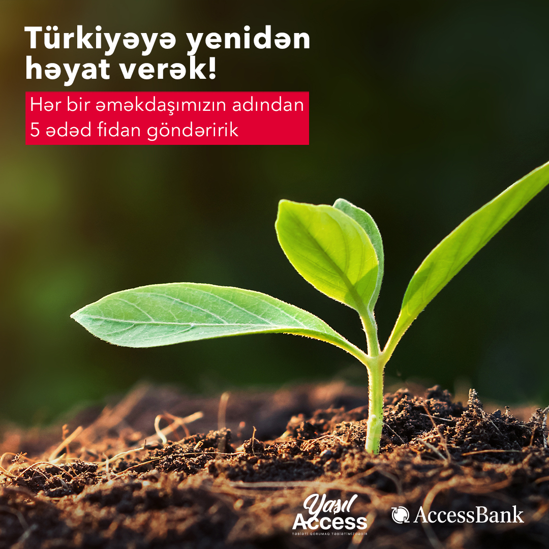 “AccessBank” Türkiyəyə 6000-dək ağac tingi bağışlayacaq