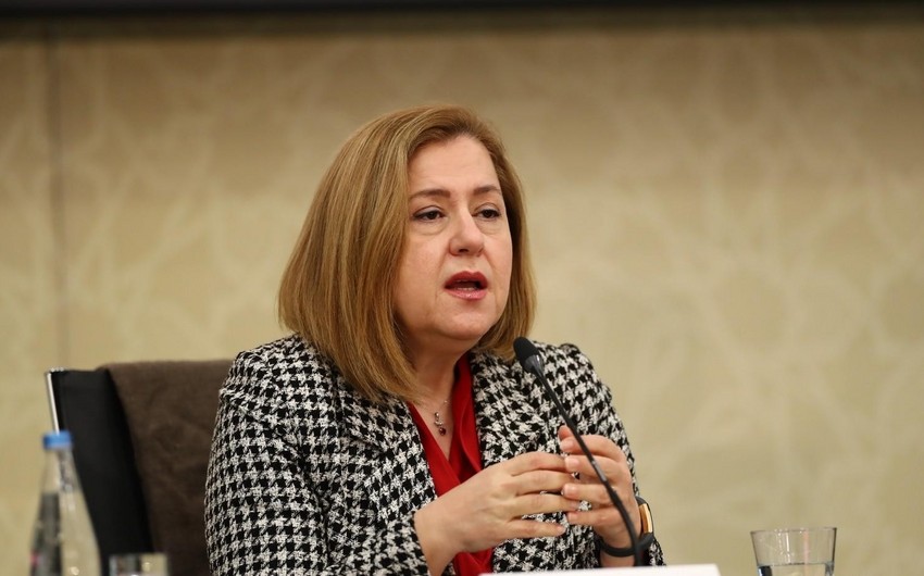 “Rəqəmlərin artacağını gözləyirdik” - Hande Harmancı