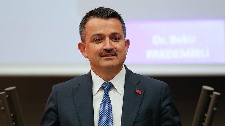 “Böyük yanğınların hamısı söndürülüb” – Türkiyəli nazir