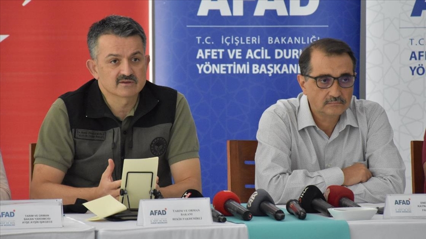 Türkiyədə bütün meşə yanğınları nəzarətə alındı