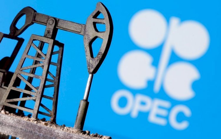 OPEC: Gələn il xam neftə tələbat artacaq