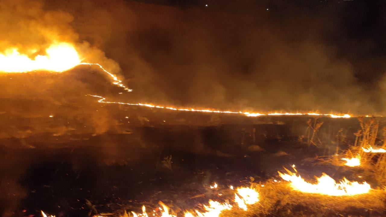 Ağsuda güclü yanğın BAŞLADI