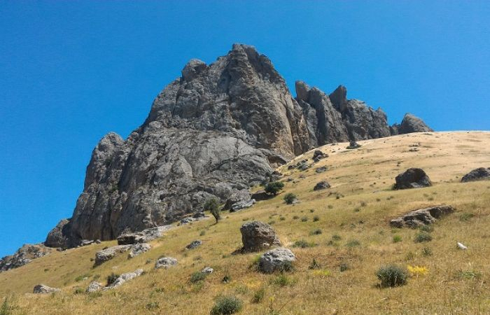 Meşədə köməksiz qalan şəxs xilas edildi