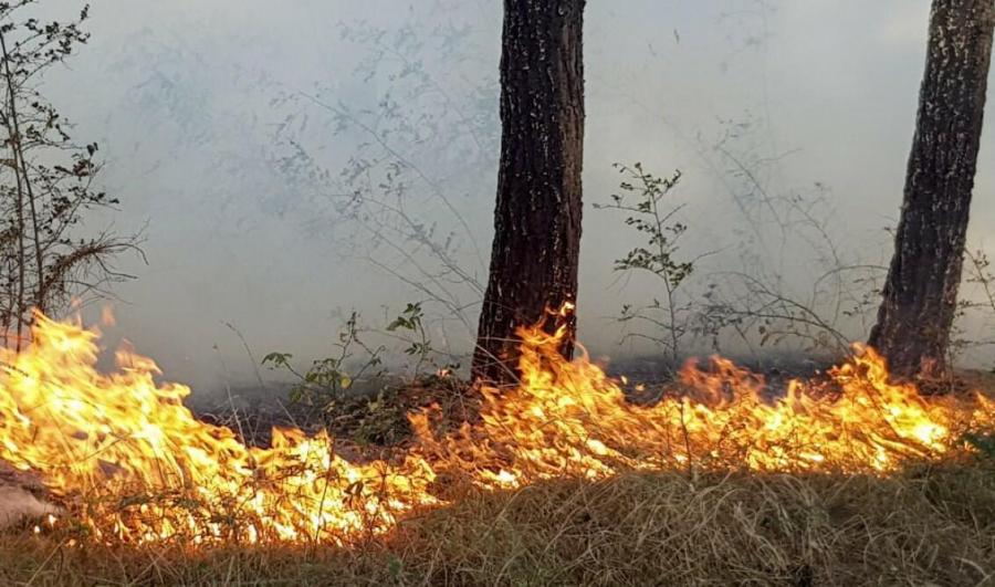 Ağsudakı yanğın söndürüldü  