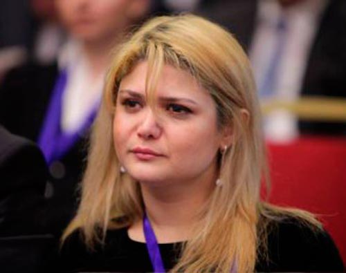 “Portfelsiz nazirlər” və ya üçünü sektorun durumu