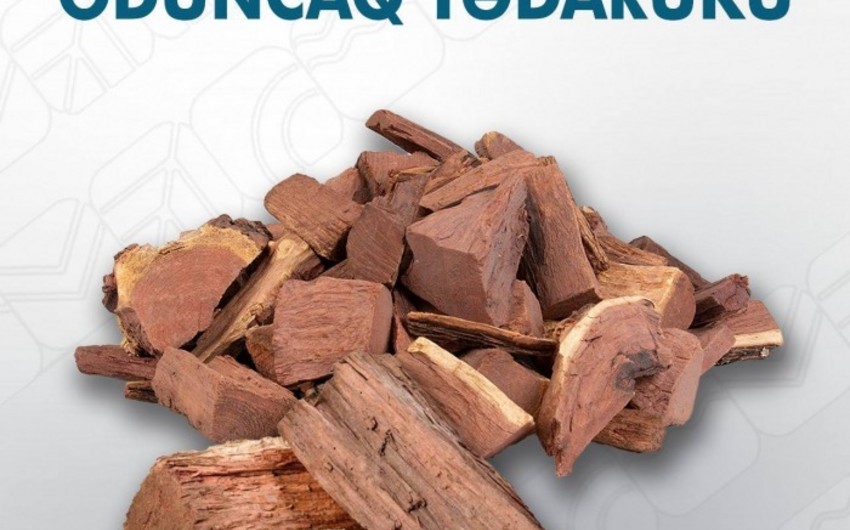 Oduncaq tədarükü aparılacaq meşələrin SİYAHISI