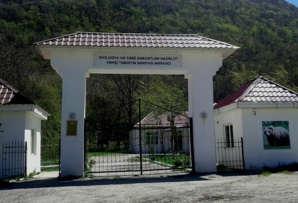 Altıağac Milli Parkında “açıq qapı” günü keçirilir - FOTOLAR
