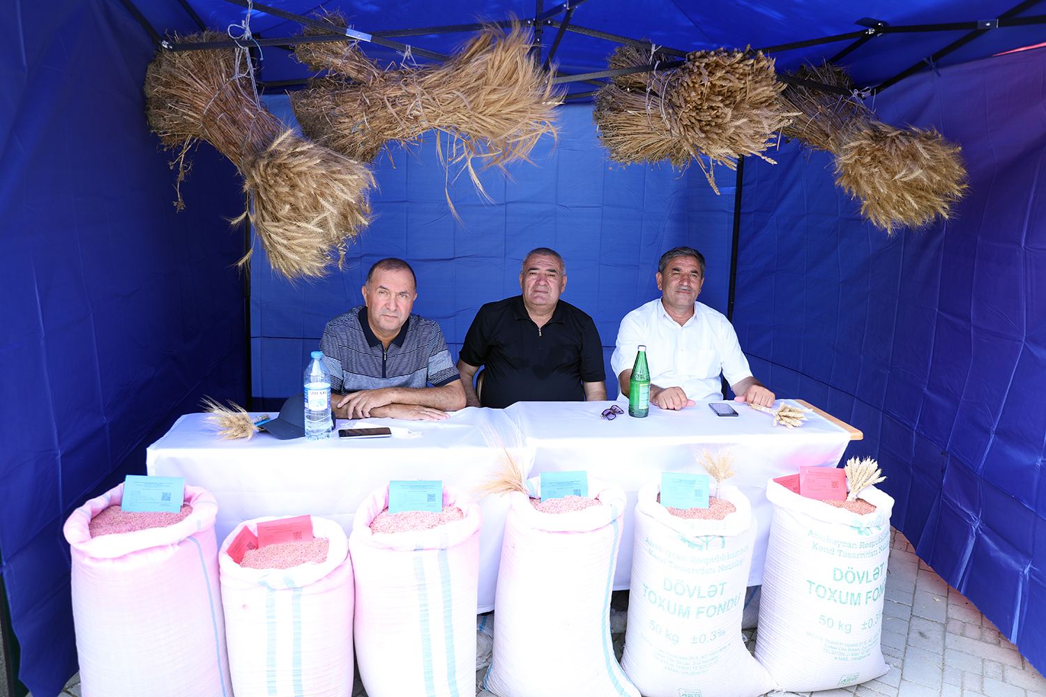 Toxum sərgi-satış yarmarkasına start verildi - FOTO